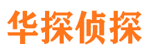 海珠市调查公司